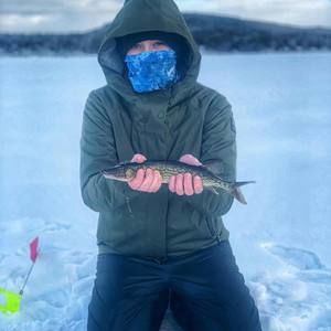 Meet your Posher, Kylie